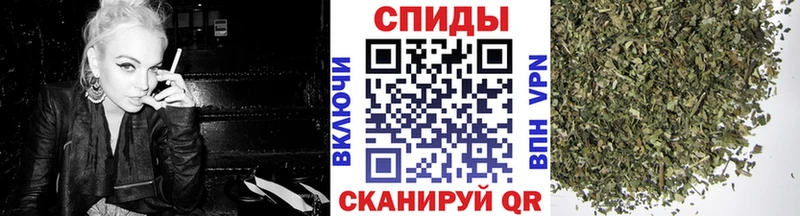 Купить  Йошкар-Ола  БУТИРАТ буратино 