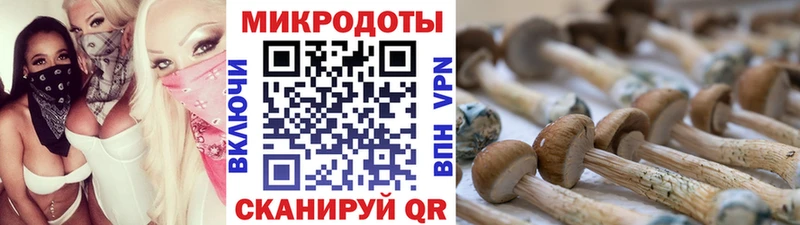 Купить  Йошкар-Ола  Галлюциногенные грибы ЛСД 